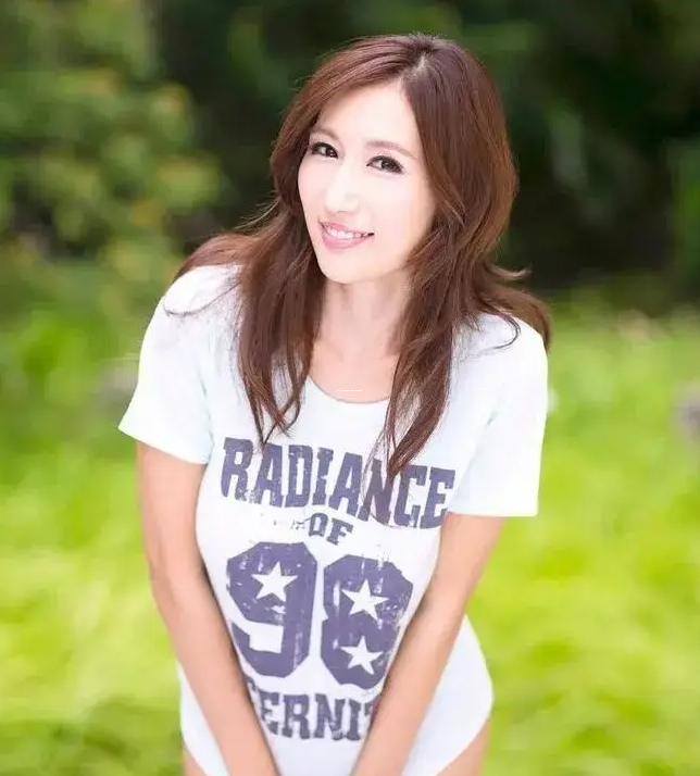 layuiadmi源码免费获取，深度解析其架构与功能