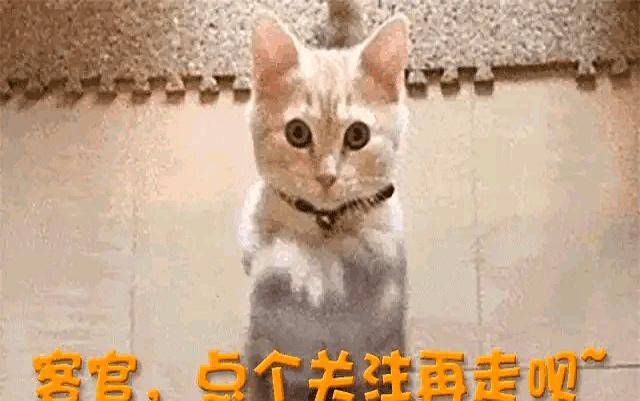 白鹿风波再升级 曝10万红包