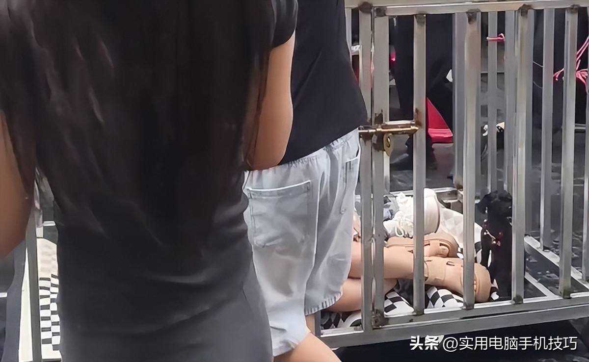 湖南铁笼事件:8名违规者被刑拘