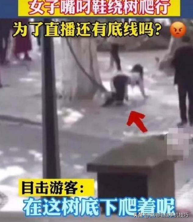 湖南铁笼事件:8名违规者被刑拘