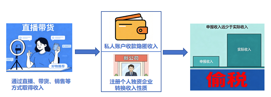 7网红网店偷税案查处细节曝光