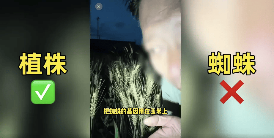 200万网红造谣袁隆平杂交水稻事件全解析