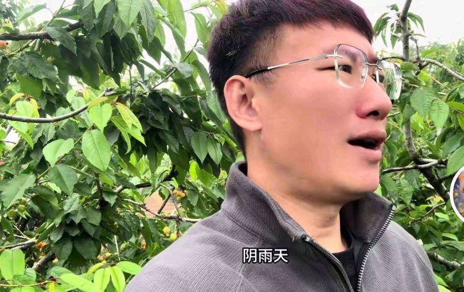 杨二狗2万分手费反转，网红卓越人设崩塌