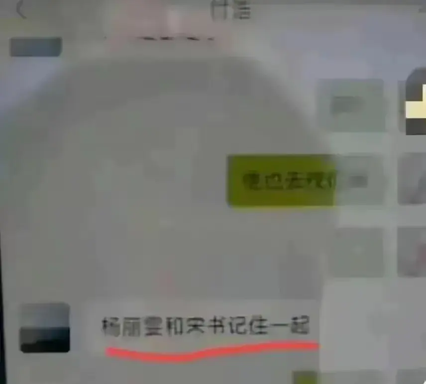 陕西宁强官员付某出轨女下属,聊天记录曝光引发舆论风暴
