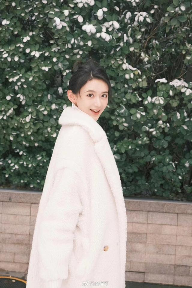 家有儿女“夏东海”扮演者高亚麟陷入家暴出轨风波,公众震惊!